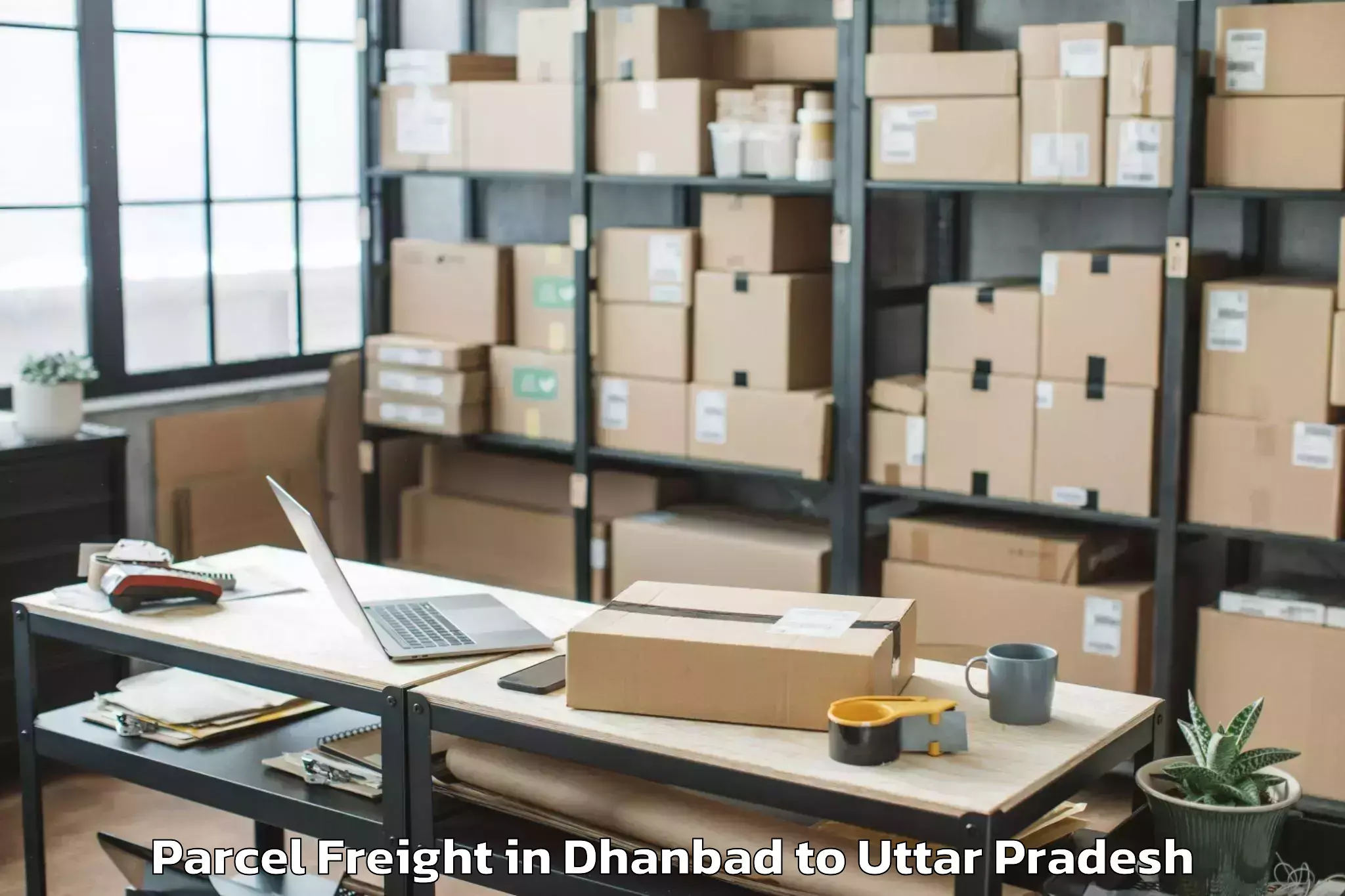 Book Dhanbad to Talbehat Parcel Freight